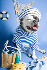 A dog in a navy vest, a sailor dog in a striped suit