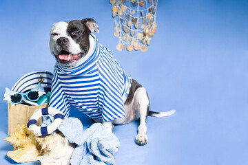 A dog in a navy vest, a sailor dog in a striped suit