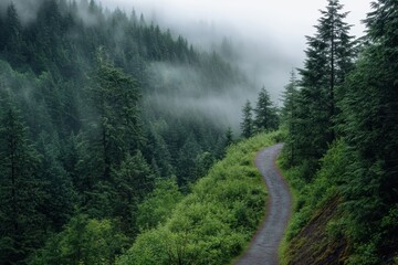 Obraz premium Misty trail winding through lush Pacific Northwest forest reveals beauty of nature