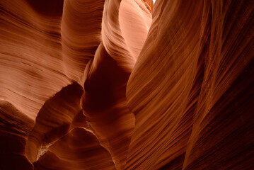 Rattlesnake Slot Canyon Arizona