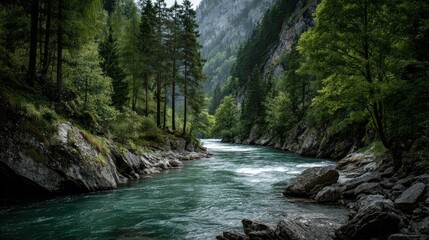 Serene River Gorge: Lush Greenery, Flowing Water, Tranquil Scene