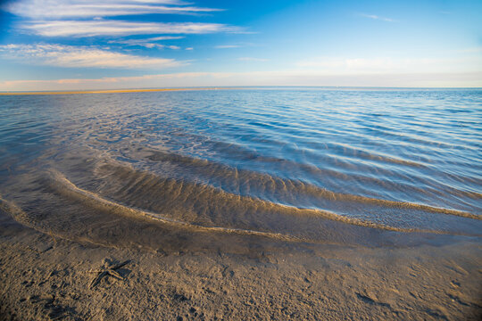 Shore at the edge of a muddy patch at low tide