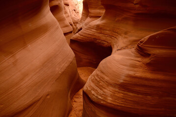 Rattlesnake Slot Canyon Arizona