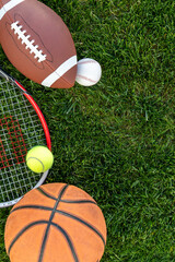 Portrait of sports balls in green grass