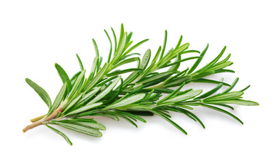 Fototapeta premium Fresh rosemary branches artfully arranged against a clean white backdrop, highlighting their lush green color and natural texture. Perfect for culinary, botanical, or wellness-related projects