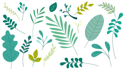 Set Vector Flat Illustration Leaf Green and Yellow Color