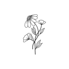 Delicate Floral Line Art Illustration