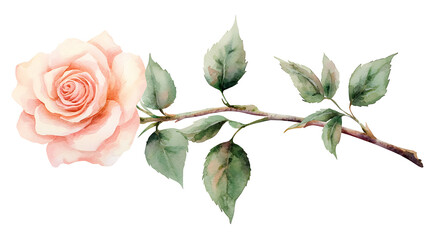 A watercolor painting of a pink rose with green leaves