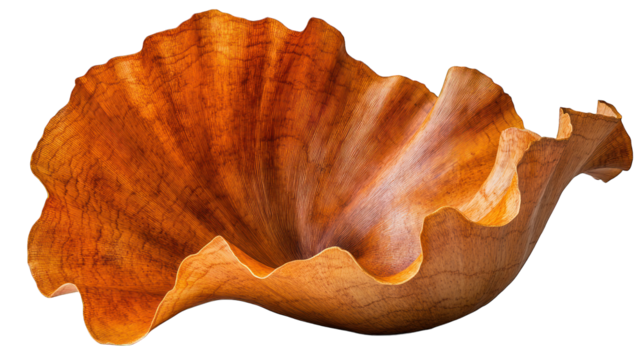 A sculpted,  wooden bowl showcasing intricate,  flowing lines and rich, warm tones.