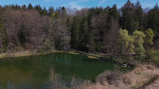 Luftaufnahme idyllisches Naturschutzgebiet bei Grafing b. Muenchen in Oberbayern. Eine Kette klarer Weiher, umgeben von gruener Fruehlingsnatur, perfekt fur Wanderer und Naturfreunde. Spiegelweiher. 