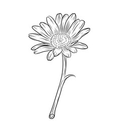 Line art flower