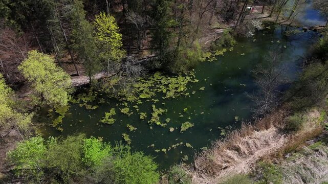 Luftaufnahme idyllisches Naturschutzgebiet bei Grafing b. Muenchen in Oberbayern. Eine Kette klarer Weiher, umgeben von gruener Fruehlingsnatur, perfekt fur Wanderer und Naturfreunde. Spiegelweiher. 