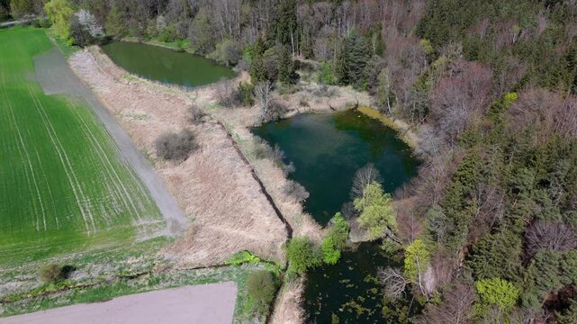 Luftaufnahme idyllisches Naturschutzgebiet bei Grafing b. Muenchen in Oberbayern. Eine Kette klarer Weiher, umgeben von gruener Fruehlingsnatur, perfekt fur Wanderer und Naturfreunde. Spiegelweiher. 
