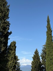 Snowy peaks rise in the distance, framed by tall evergreens under a vast, cloud-dotted blue sky, with power lines faintly cutting across the view.