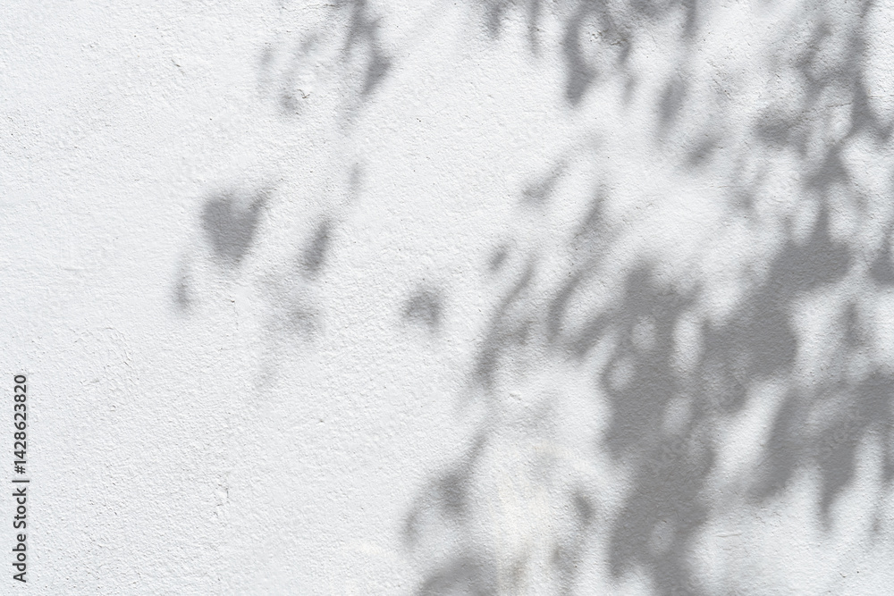 Aufkleber Studio background,Leaves shadow with sunbeam reflection on grey concrete wall texture background,Empty White Studio Room with abstract light on Cement floor,Backdrop display for product presentation.