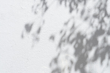 Studio background,Leaves shadow with sunbeam reflection on grey concrete wall texture...