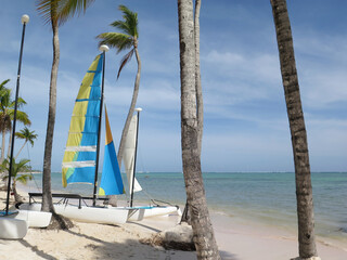 Hobie Cat on a Tropical Beach