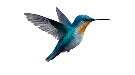 Obraz premium watercolor hummingbird mid-flight, surrounded by floral bursts, vivid color palette