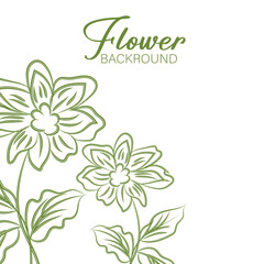 Elegant Green Line Art Flowers on White Background Botanical Illustration