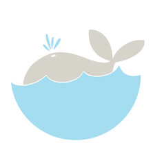 blue whale in the water