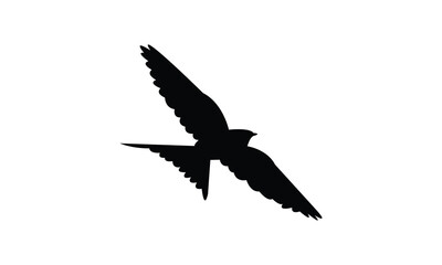 Flying African red rumped swallow bird Silhouette Design  And Vector Illustration. 