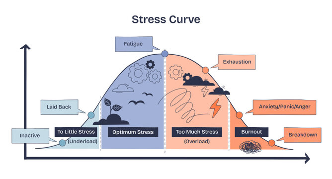 Stress Curve shows the relationship between stress levels and performance, highlighting fatigue, exhaustion, and burnout. Doodle style diagram