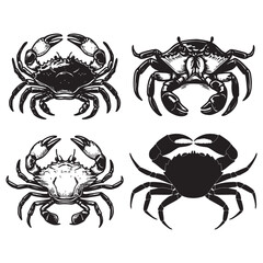 A Black Crab on a Clean White Canvas