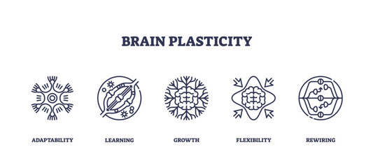 Obraz premium Brain plasticity shows adaptability, learning, and neural growth with outlined icons of brain, arrows, and neural connections. Outline icons set