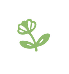 green plant isolated on white background