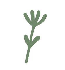 green plant vector illustration 