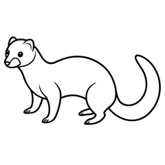 Elegant Ferret Line Drawing Vector