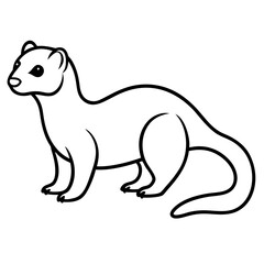 Elegant Ferret Line Drawing Vector