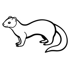 Elegant Ferret Line Drawing Vector