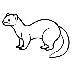 Elegant Ferret Line Drawing Vector