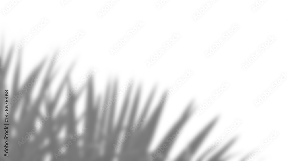 Poster realistic blurred shadow overlay of plant branch with detailed foliage and leaf elements, perfect fo