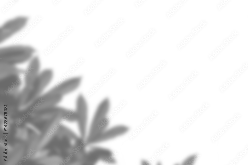 Leinwandbilder realistic branch and leaf shadow overlay with blurred foliage, perfect for spring and summer product