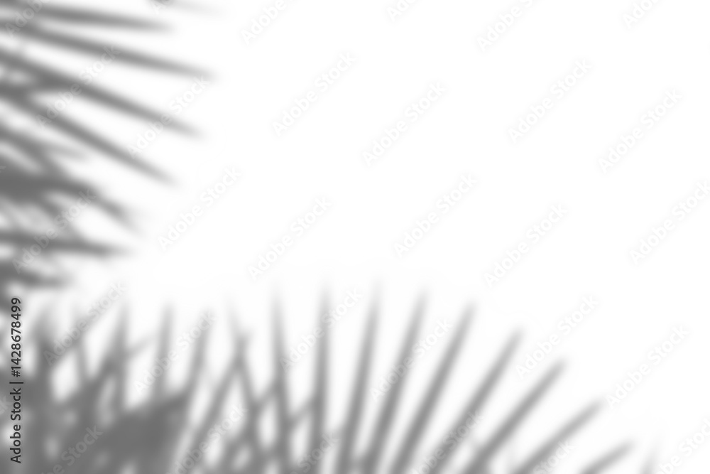 Poster realistic shadow overlay of plant branch with blurred foliage and leaf details creates natural desig