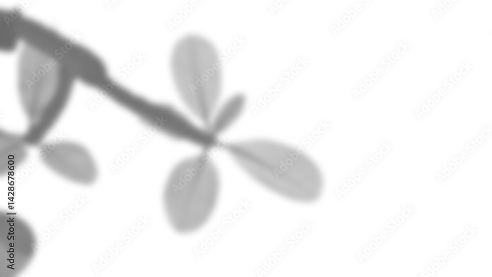 Poster Realistic blurred shadow overlay of branch with leaves, creating natural and soft effect. Perfect for spring or summer product display mockups, adding plant inspired design elements