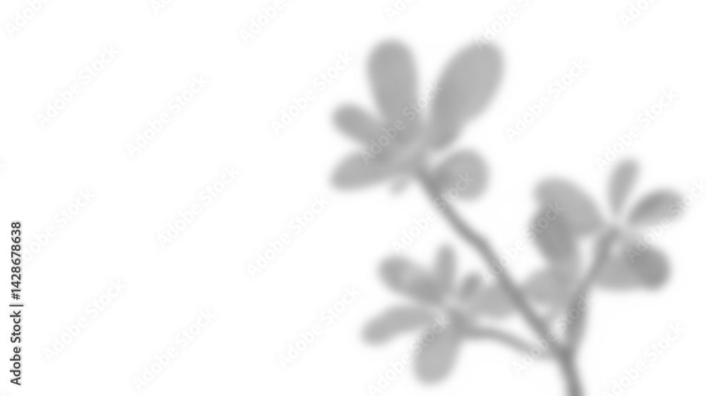 Poster realistic branch with blurred leaves and shadows creates soft overlay effect, perfect for spring or 