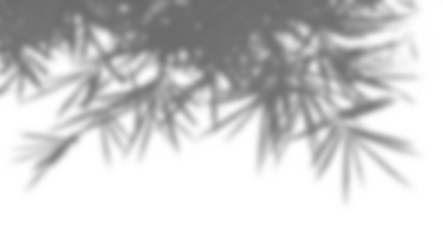 Realistic shadow overlay of blurred plant branches and leaves creates natural foliage effect, perfect for spring or summer product display mockups and design elements