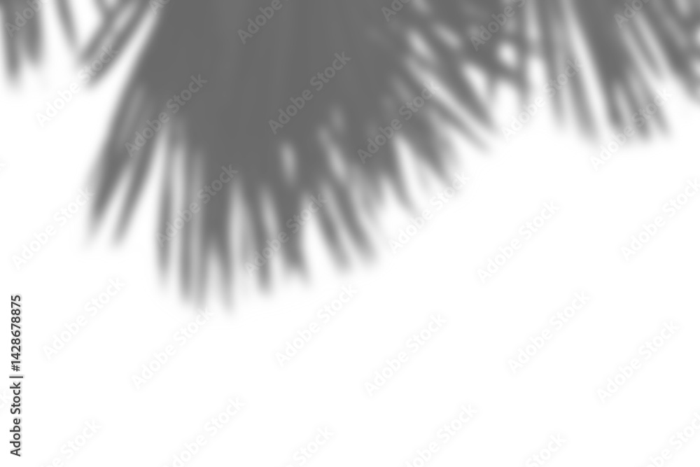 Aufkleber realistic shadow overlay of blurred branch with leaves creates natural and soft effect, perfect for 