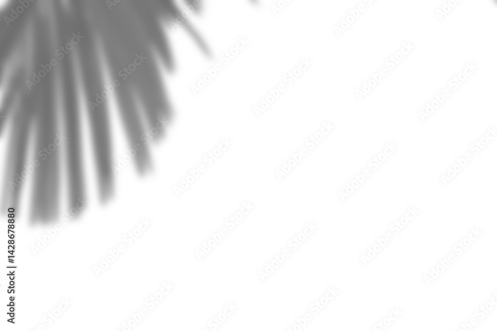 Fototapete realistic shadow overlay of blurred branch with leaves, creating natural plant foliage effect. perfe