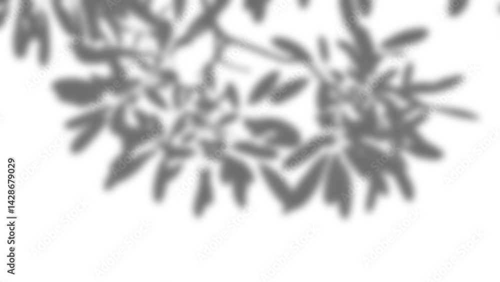 Aufkleber Realistic branch with blurred leaf shadows creates soft overlay effect, perfect for spring or summer product display mockups. This design element adds natural foliage charm