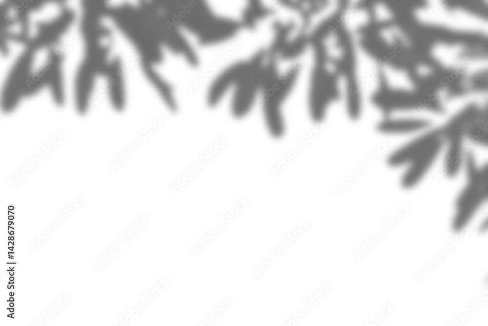 Poster realistic branch and leaf shadow overlay with blurred foliage, creating natural mockup for spring an