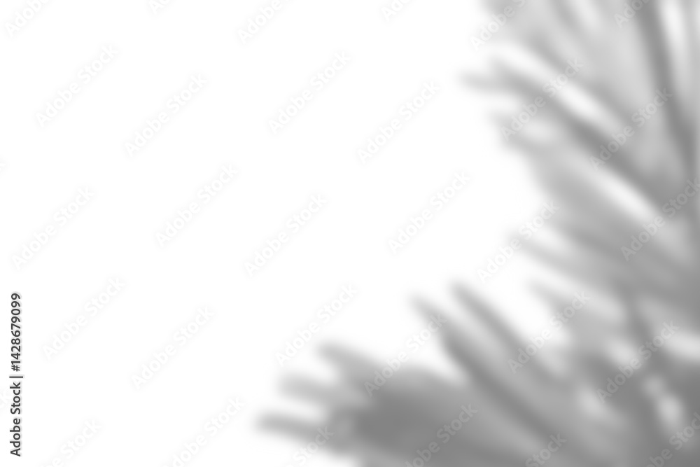 Aufkleber realistic branch with blurred foliage and leaf shadows creates soft overlay effect, perfect for spri