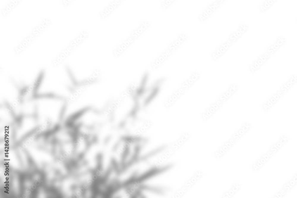 Poster realistic branch with blurred foliage and leaf shadows creates soft overlay effect, perfect for spri