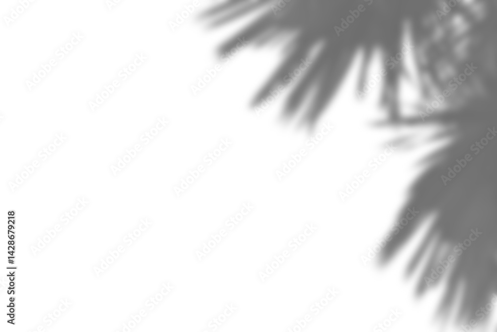 Poster realistic shadow overlay of blurred plant foliage with intricate branch and leaf details, perfect fo