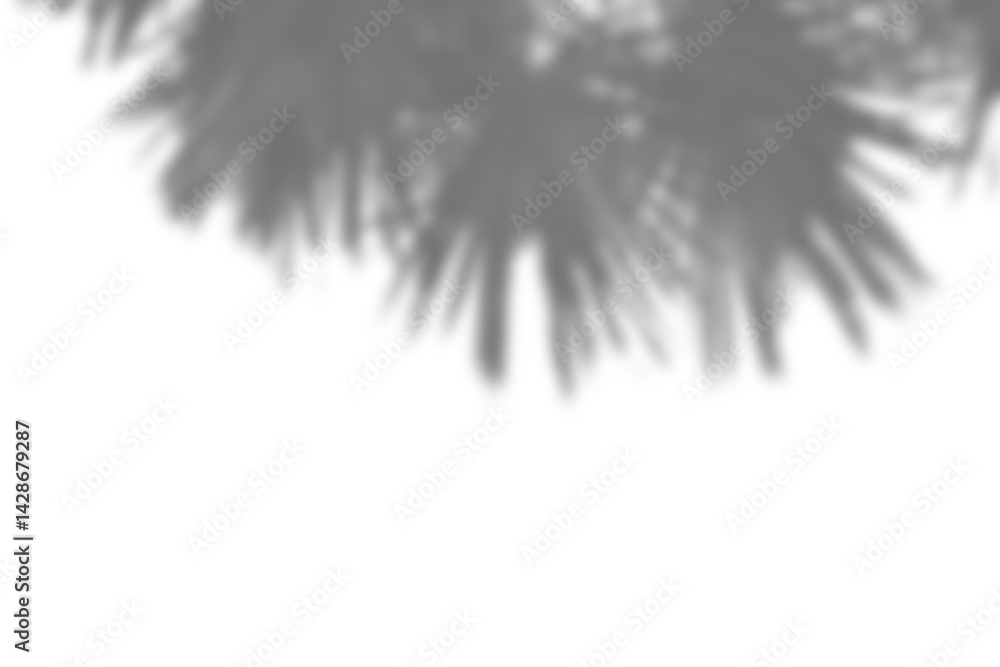 Poster realistic blurred shadow overlay of branch with leaves, creating natural foliage effect for spring o