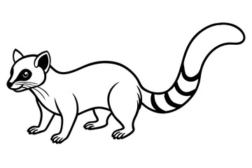 Minimal Ringtail