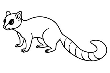 Minimal Ringtail